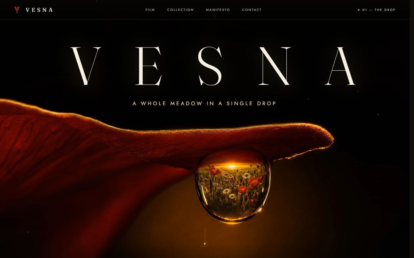 VESNA — the dew-drop hero of the scroll film