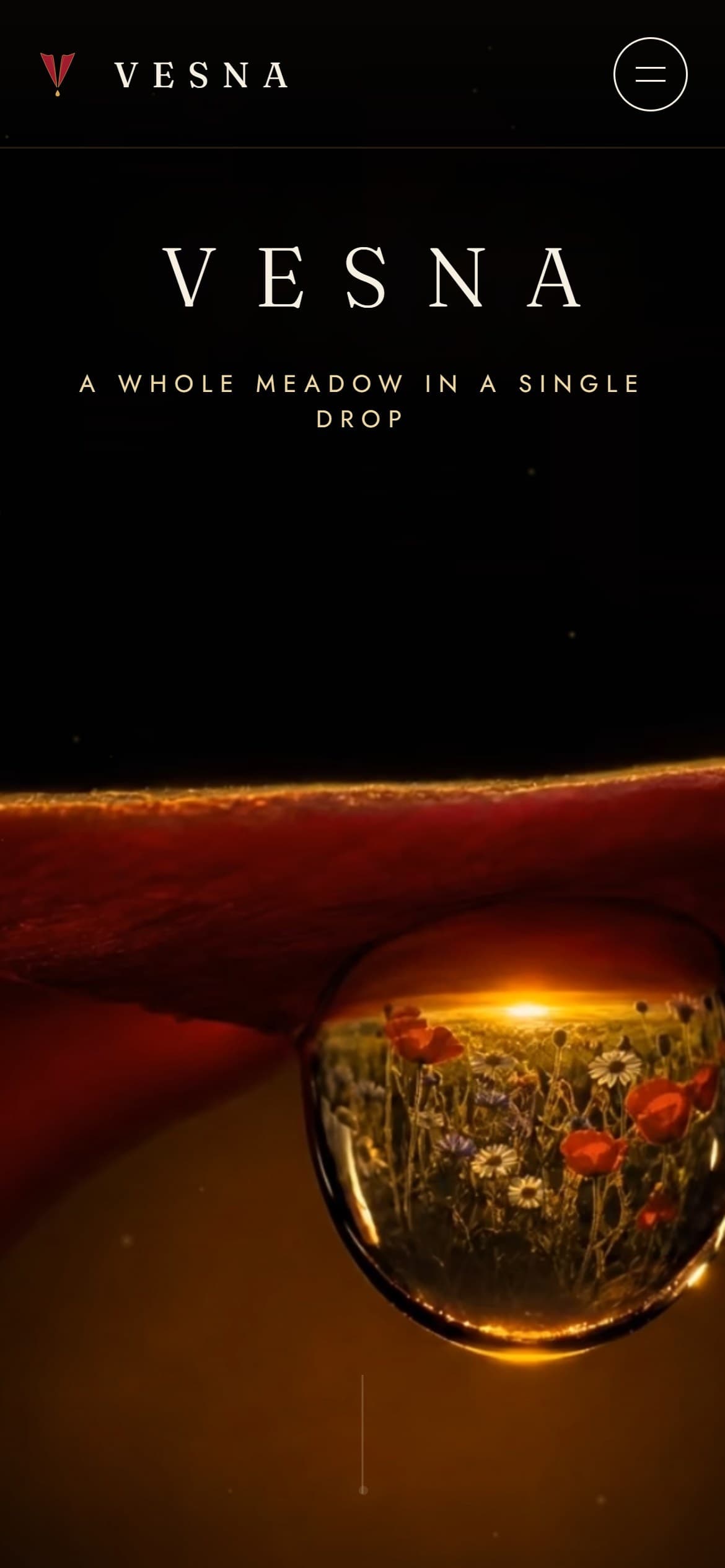 VESNA on a phone — the wordmark over 'a whole meadow in a single drop' and the droplet holding the meadow