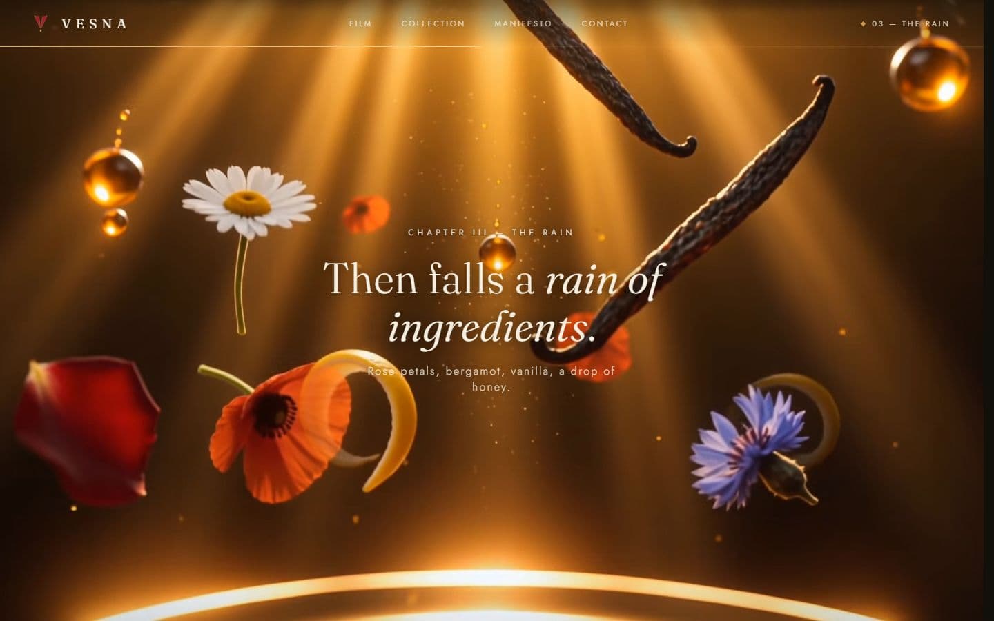VESNA — chapter III, the rain